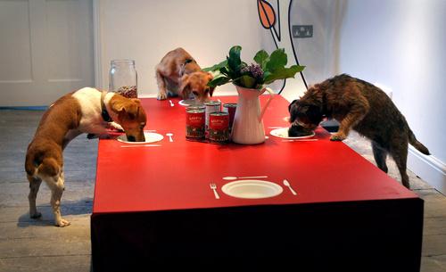 INDOVINA CHI VIENE A CENA