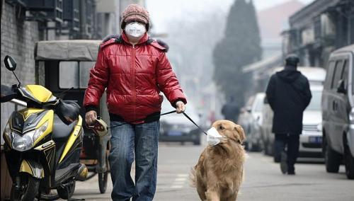 Lo smog di Pechino ....
