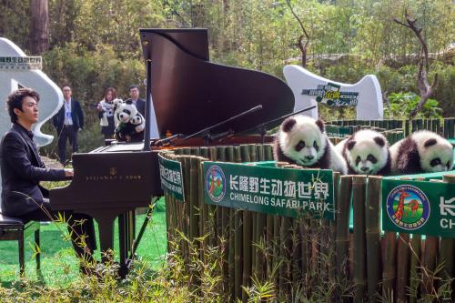 Panda Piano