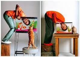 A …. MICI DI CARLO