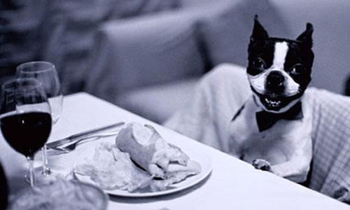 La felicità? I miei ravioli alle spezie e noci!