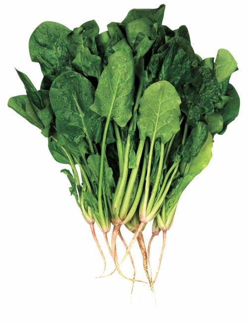 Spaghetti al burro & spinaci