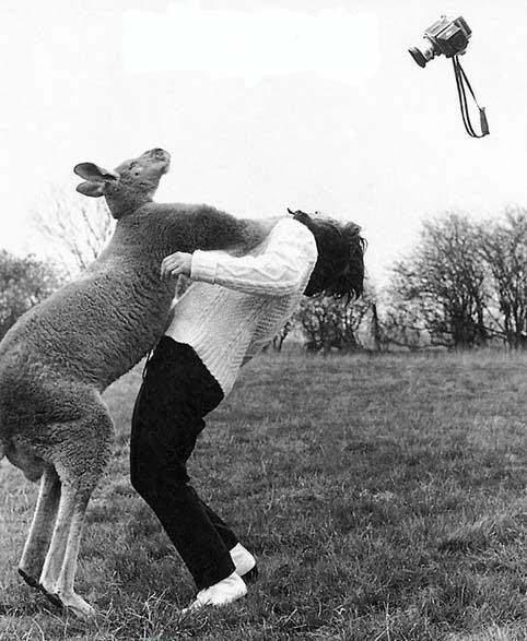 Tra il dire e il fare