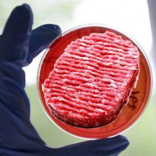 La bistecca da laboratorio ....