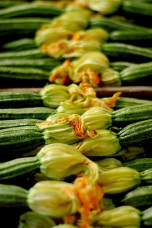SEDANI o PENNE RIGATE con le ZUCCHINE!