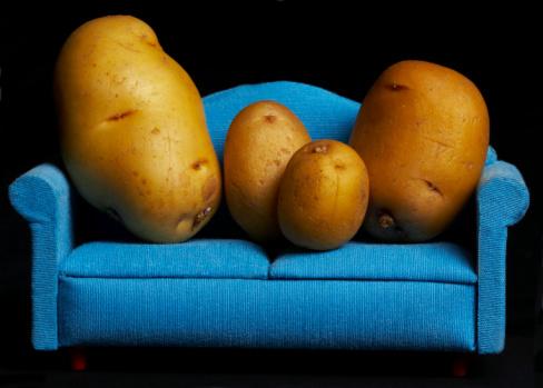 Potatoes Salad & Macaroni Salad