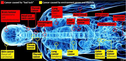 Cancro e sfortuna ...